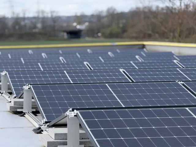 9EEBAB37 6BFA 4C49 945F 6E3D22CC969C IMG 3698